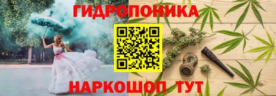 прущие крисы Гусев