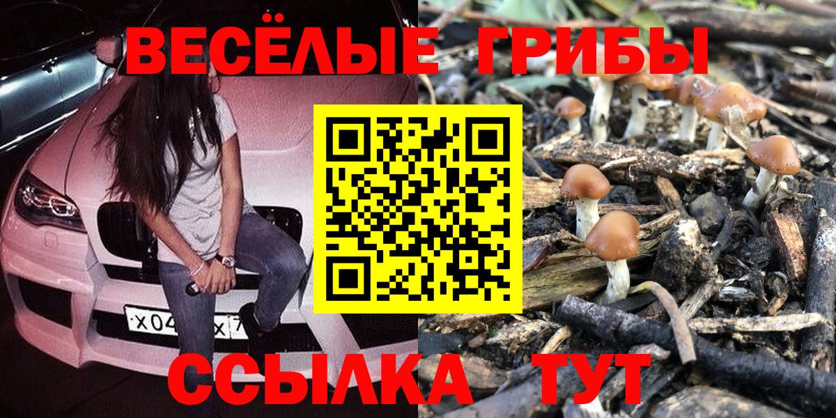 Галлюциногенные грибы MAGIC MUSHROOMS Клин