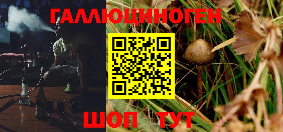 Клин  Псилоцибиновые грибы мухоморы  Вход с VPN 